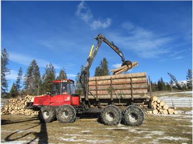 Sturmschäden:  200.000 Kubikmeter Schadholz schon aufgearbeitet