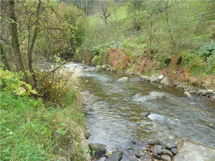 Gewässerschutzplan: Auswirkungen auf Südtirols Flüsse