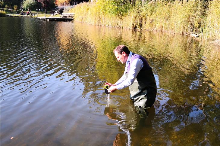 Lago di Fié, reimpianto di alghe per ripristinare lo stato naturale
