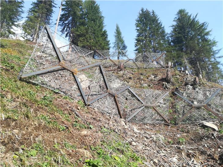 Vaia, por d’invern arjignades ca danü les paralovines a La Ila