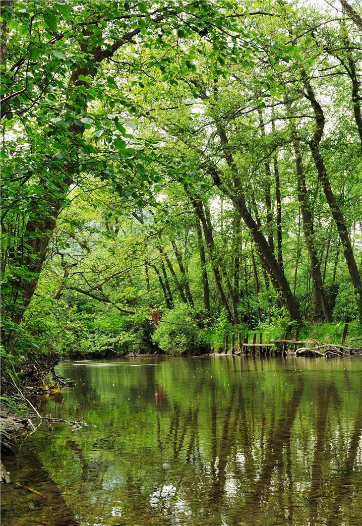 Naturerlebnis Biotopweg Schludernser Au erneuert