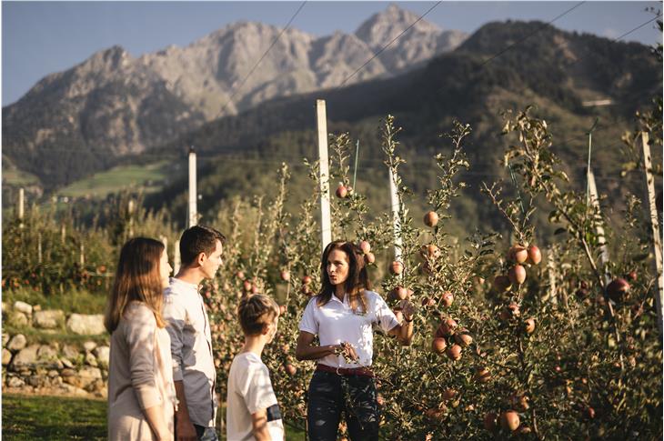 LandWIRtschaft 2030: Diskussion mit über 700 Bürgerinnen und Bürgern