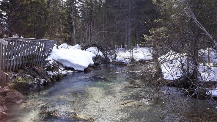 Rienz: Mehrjähriges Projekt beginnt mit Baustelle in Toblach