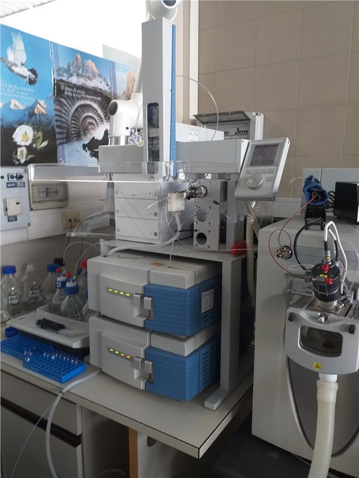 Integratori alimentari, fare attenzione agli acquisti online