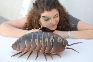 Inaugurata la mostra “Scava scava – Kosmos Boden” al Museo di Scienze 