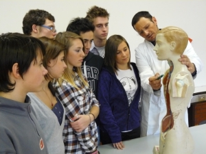 Massaggio di rilassamento: corso alla scuola “Levinas” di Bolzano