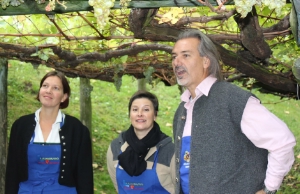 Wimmfest bei der ältesten und größten Rebe der Welt