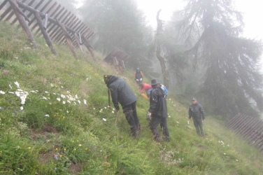 Mitbauen und Mitpflanzen: Schutzwald-Campus am Watles