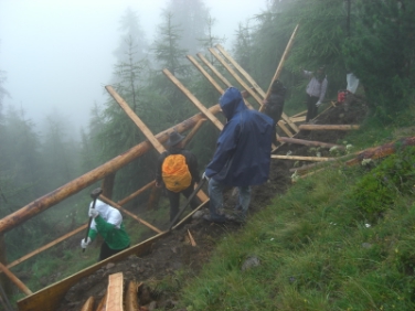 Mitbauen und Mitpflanzen: Schutzwald-Campus am Watles