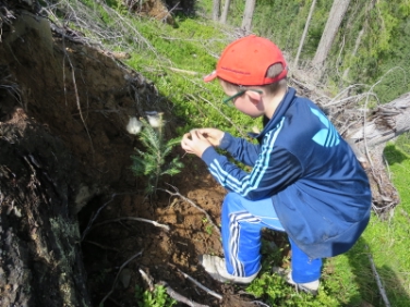 Alpiner Schutzwaldpreis: Zwei Projekte aus Südtirol nominiert