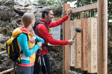 Alpiner Schutzwaldpreis: Zwei Projekte aus Südtirol nominiert
