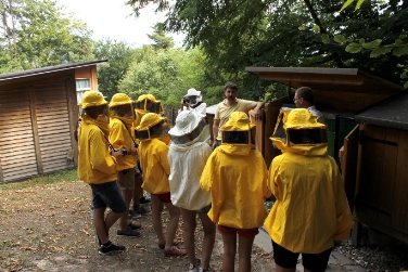 Sommerakademie 2015 für emsige Forscher und experimentierfreudige Cineasten