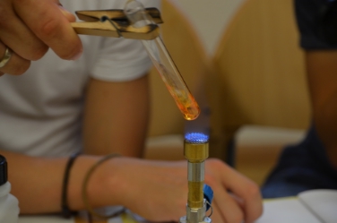 Sommerakademie 2015 für emsige Forscher und experimentierfreudige Cineasten