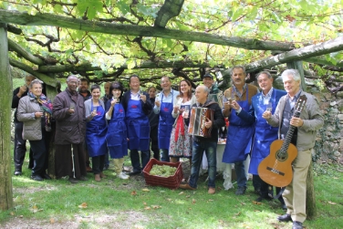 Wimmfest bei der weltweit größten und ältesten Rebe