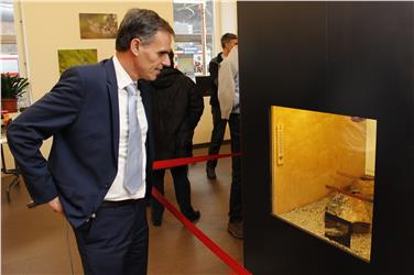 Heimische Schlangenarten hautnah erleben