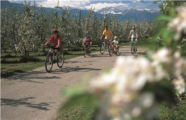 Vinschger Bahn: Auch heuer separater Radtransport
