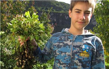 Erdnuss-Ernte: Trauttmansdorff prämiert junge Pflanzenzüchter