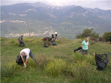 Südafrikanisches Greiskraut: Bekämpfungs-Aktion auf Castelfeder