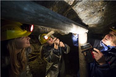 Landesmuseen: 52.350 Besucher mehr als im Vorjahr