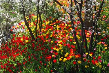 Inaugurata mostra fotografica ai Giardini di Castel Trauttmansdorff