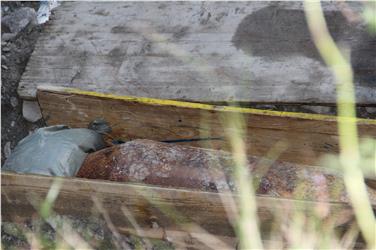 Freienfeld: Bombenentschärfung früher als erwartet beendet