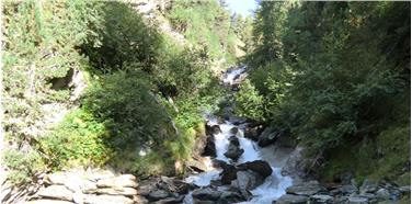 Ruscelli montani eletti tipologia fluviale del 2018 